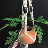 String Greens Mini Faux Maidenhair Fern