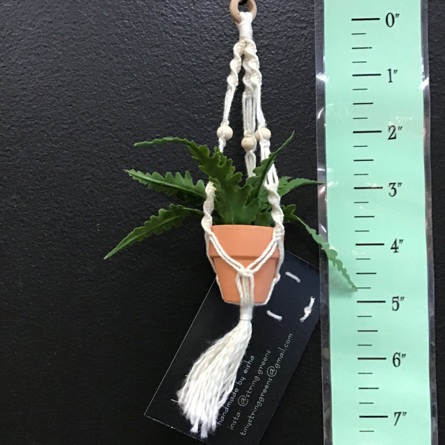 fern plant hanger String Greens Mini Faux Boston Fern – Mimi's Attic Ithaca