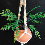 String Greens Mini Faux Maidenhair Fern