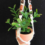 String Greens Mini Faux Jade Plant