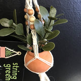 String Greens Mini Faux Rubber Plant