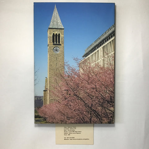 Original Colour Photograph of McGraw Tower by Local Artist