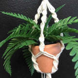 String Greens Mini Faux Boston Fern
