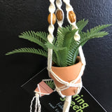 String Greens Mini Faux Boston Fern