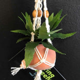 String Greens Mini Faux Boston Fern