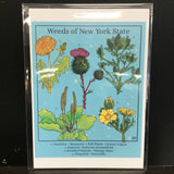 Rachel Feirman "Weeds of New York State" 5x7 Digital Art Print