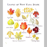 Marika Chew "Leaves of New York State" 9x12 Signed Art Print