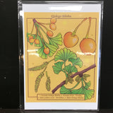 Rachel Feirman "Ginkgo Biloba" 5x7 Digital Art Print