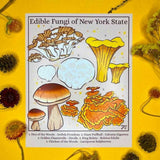 Rachel Feirman "Edible Fungi of New York State" 5x7 Digital Art Print