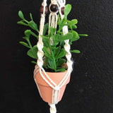 String Greens Mini Faux Jade Plant