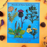 Rachel Feirman "Weeds of New York State" 5x7 Digital Art Print