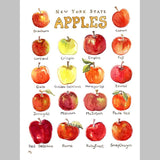Marika Chew "New York State Apples" 9x12 Signed Art Print