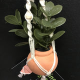 String Greens Mini Faux Rubber Plant