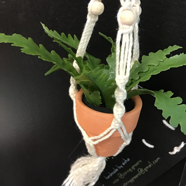 faux hanging fern plant String Greens Mini Faux Boston Fern – Mimi's Attic Ithaca