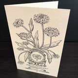 Andrea Strongwater Black & White 1983 "Gaillardia Pulchella" 5.5x8.5 Notecard