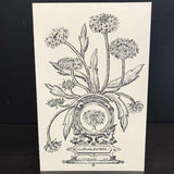 Andrea Strongwater Black & White 1983 "Gaillardia Pulchella" 5.5x8.5 Notecard