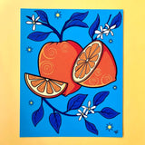 Rachel Feirman "Oranges" 8x10 Digital Art Print