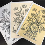 Andrea Strongwater Black & White 1983 "Gaillardia Pulchella" 5.5x8.5 Notecard