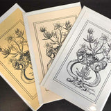 Andrea Strongwater Black & White 1983 "Anagallis Linifolia" 5.5x8.5 Notecard