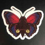 Rachel Feirman Agrias Butterfly Sticker
