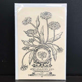 Andrea Strongwater Black & White 1983 "Gaillardia Pulchella" 5.5x8.5 Notecard