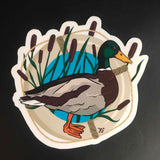 Rachel Feirman Mallard Sticker