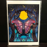 Rachel Feirman "Atlas Moth" 5x7 Digital Art Print