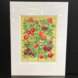 Andrea Strongwater "Cornell Apples" 8x10 Print in 12x16 Matting