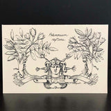 Andrea Strongwater Black & White 1983 "Polemonium Reptans" 8.5x5.5 Notecard