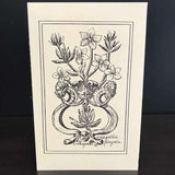 Andrea Strongwater Black & White 1983 "Anagallis Linifolia" 5.5x8.5 Notecard