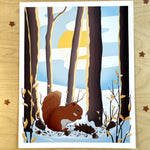 Rachel Feirman "American Red Squirrel & Seeds" 11x14 Digital Art Print