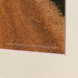 Alexa PM Photography Camino de Santiago Path, Spain 8x10 Matted Photo Print