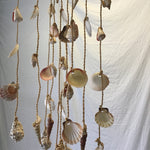 Strung Shell Hanging Decor