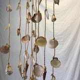 Strung Shell Hanging Decor