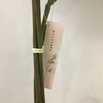 Aphorism 3-Stems Faux Hydrangea