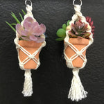 String Greens XS Mini Faux Succulent Mix Earrings