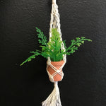 String Greens Set of 3 XS Mini Faux Fern Ornaments