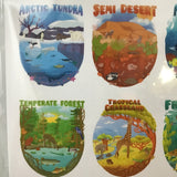 Rachel Feirman 2027 Ecosystems Calendar