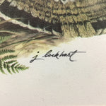 Framed James Lockheart Sage Grouse Print