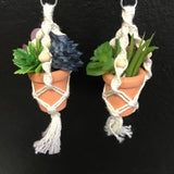 String Greens XS Mini Faux Succulent Mix Earrings
