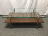 Contemporary MCM West Elm Glass-Top Art Display Coffee Table