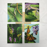 Posa Journals Set of 4 "Monarch Butterfly" Illustrated Note Cards