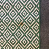 Modern Green & White 5x7 Indoor/Outdoor Area Rug