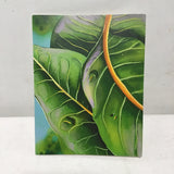 Posa Journals Set of 4 "Monarch Butterfly" Illustrated Note Cards