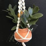 String Greens Mini Faux Rubber Plant