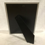 Alexa PM Photography Framed Taughannock Falls 8x10 Matted Photo Print