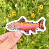 Rachel Feirman Brook Trout Sticker
