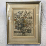 Framed "October" Hand-Tinted Floral Engraving Print