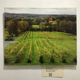 "Six Mile Creek Vineyard" Photo on Canvas by Carl Schofield