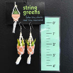 String Greens XS Mini Faux Snake Plant Earrings